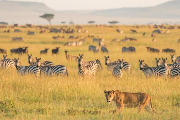 6days-camping-safaris